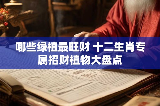 哪些绿植最旺财 十二生肖专属招财植物大盘点