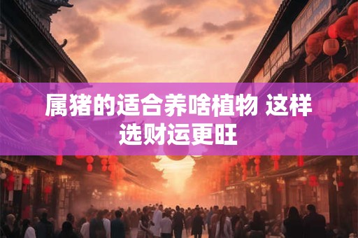 属猪的适合养啥植物 这样选财运更旺