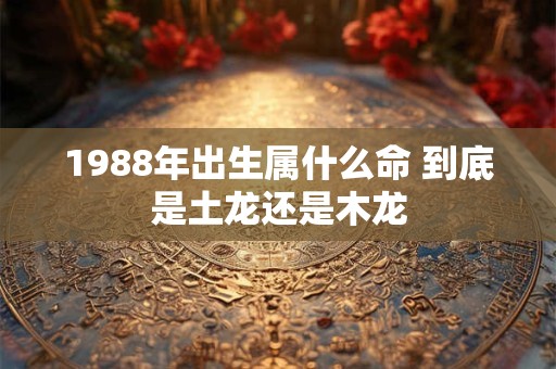 1988年出生属什么命 到底是土龙还是木龙