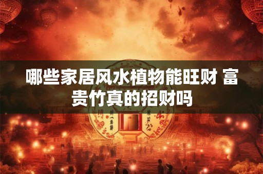 哪些家居风水植物能旺财 富贵竹真的招财吗