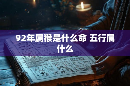 92年属猴是什么命 五行属什么