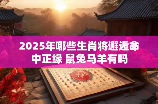2025年哪些生肖将邂逅命中正缘 鼠兔马羊有吗