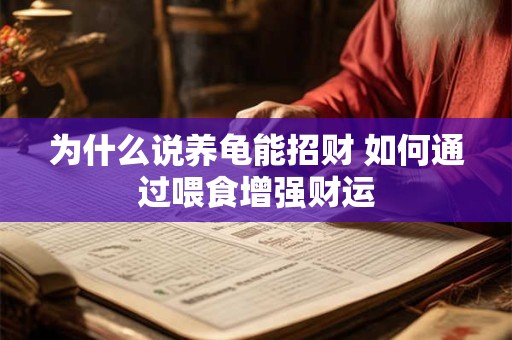 为什么说养龟能招财 如何通过喂食增强财运