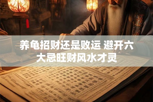 养龟招财还是败运 避开六大忌旺财风水才灵