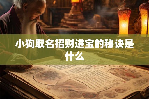 详细阅读:小狗取名招财进宝的秘诀是什么 小狗取名招财进宝的秘诀是什么