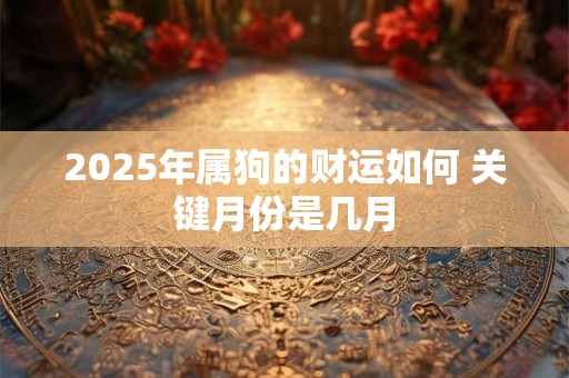 2025年属狗的财运如何 关键月份是几月