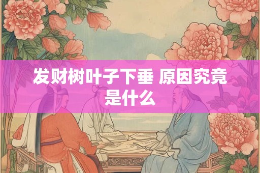 发财树叶子下垂 原因究竟是什么