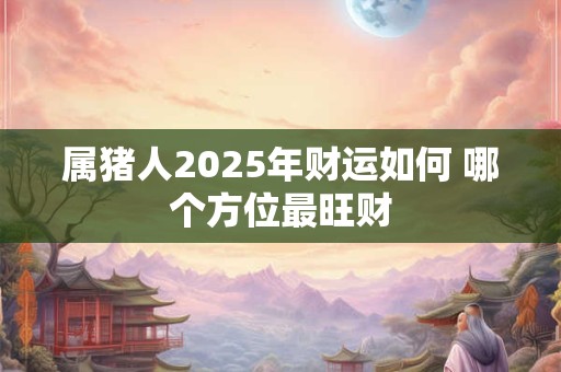 属猪人2025年财运如何 哪个方位最旺财