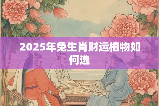 2025年兔生肖财运植物如何选
