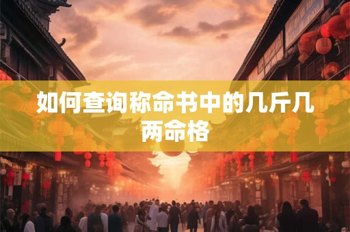 如何查询称命书中的几斤几两命格