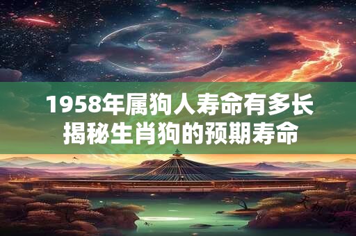 1958年属狗人寿命有多长 揭秘生肖狗的预期寿命