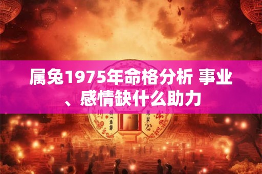 2025年12月属龙财运详解：能否迎来财富高峰