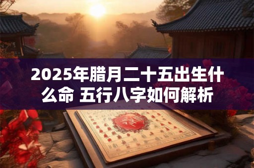 2025年腊月二十五出生什么命 五行八字如何解析