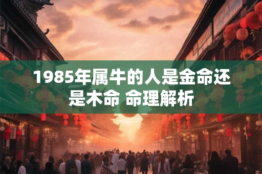 1985年属牛的人是金命还是木命 命理解析