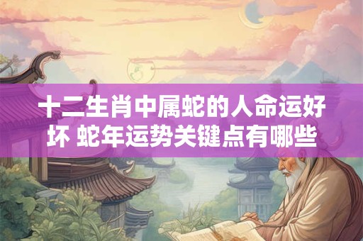十二生肖中属蛇的人命运好坏 蛇年运势关键点有哪些