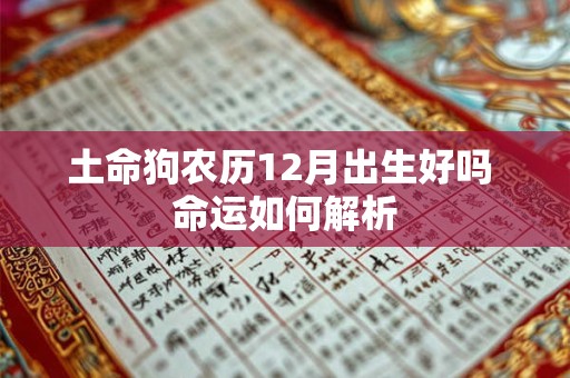 土命狗农历12月出生好吗 命运如何解析
