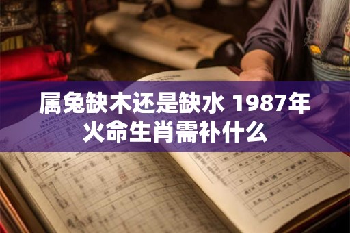 属兔缺木还是缺水 1987年火命生肖需补什么