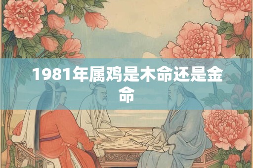 1981年属鸡是木命还是金命