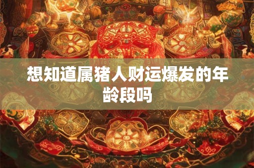 想知道属猪人财运爆发的年龄段吗