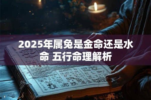 详细阅读:2025年属兔是金命还是水命 五行命理解析 2025年属兔是金命还是水命 五行命理解析