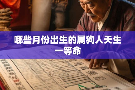 哪些月份出生的属狗人天生一等命