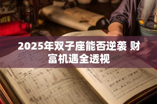 2025年双子座能否逆袭 财富机遇全透视