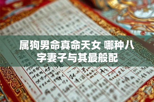 属狗男命真命天女 哪种八字妻子与其最般配