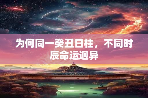 为何同一癸丑日柱，不同时辰命运迥异