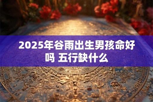 2025年谷雨出生男孩命好吗 五行缺什么