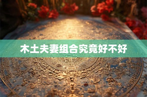 木土夫妻组合究竟好不好