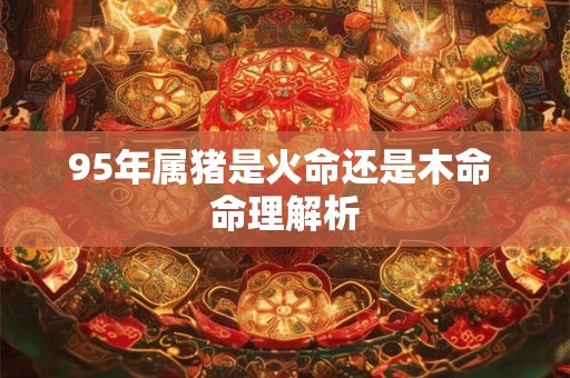 95年属猪是火命还是木命 命理解析