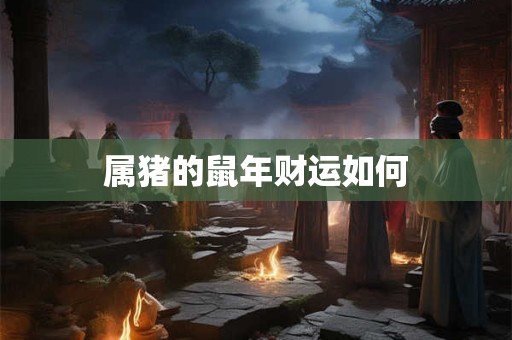 属猪的鼠年财运如何