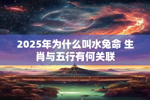 2025年为什么叫水兔命 生肖与五行有何关联