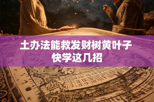 土办法能救发财树黄叶子 快学这几招