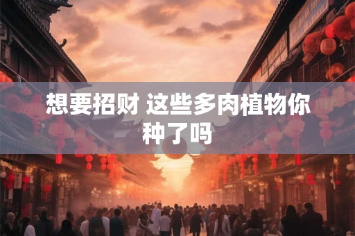 想要招财 这些多肉植物你种了吗