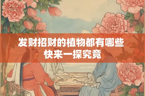 发财招财的植物都有哪些 快来一探究竟