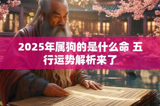 2025年属狗的是什么命 五行运势解析来了