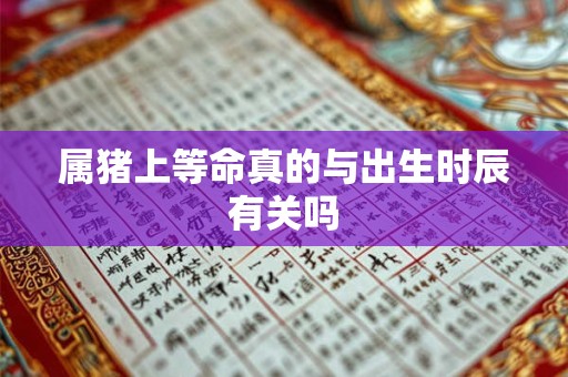 属猪上等命真的与出生时辰有关吗