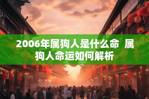 2006年属狗人是什么命  属狗人命运如何解析