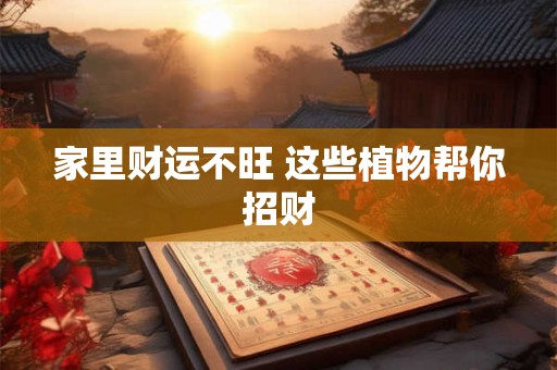 家里财运不旺 这些植物帮你招财