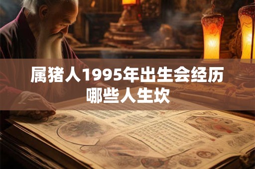 属猪人1995年出生会经历哪些人生坎