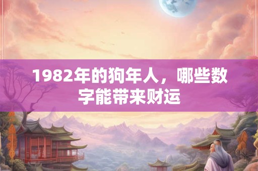 1982年的狗年人，哪些数字能带来财运