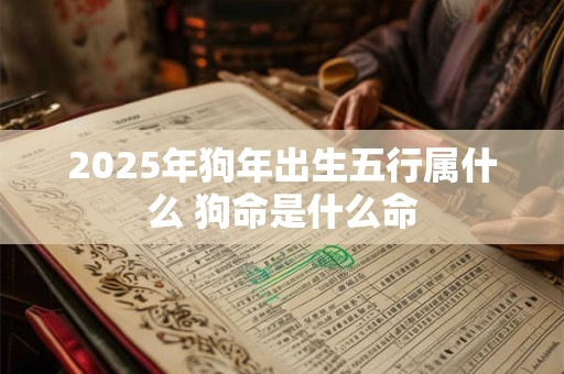 2025年狗年出生五行属什么 狗命是什么命