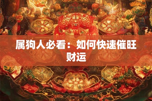 属狗人必看：如何快速催旺财运