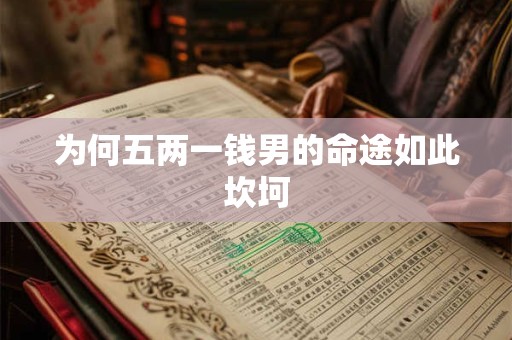 为何五两一钱男的命途如此坎坷