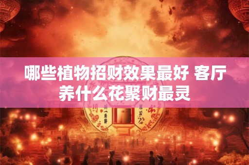 哪些植物招财效果最好 客厅养什么花聚财最灵