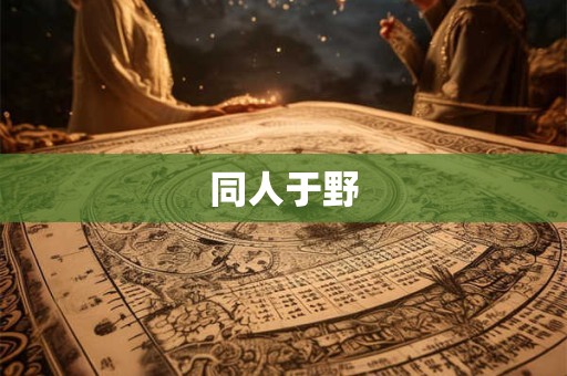 同人于野