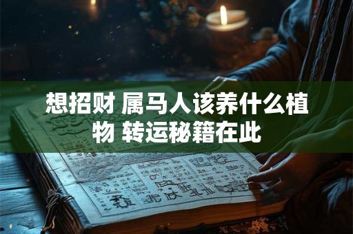 想招财 属马人该养什么植物 转运秘籍在此