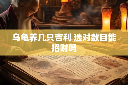 乌龟养几只吉利 选对数目能招财吗