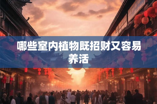 哪些室内植物既招财又容易养活